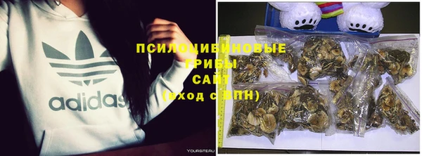метамфетамин Алексеевка