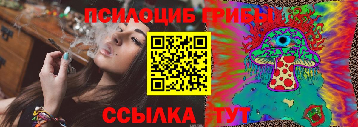 Ишим  Псилоцибиновые грибы Cubensis  Вход с VPN 